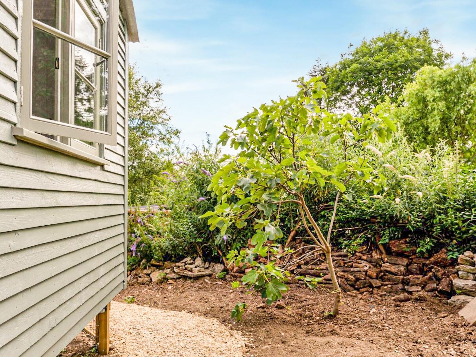 Fig Tree Shepherds Hut Bridport Extérieur photo